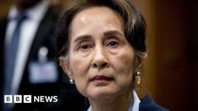 Aung San Suu Kyi: Former Myanmar leader in solitary confinement