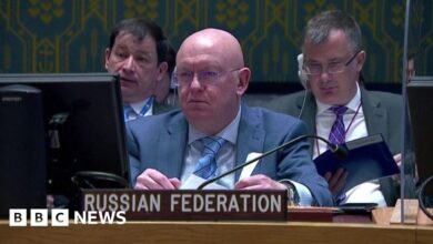 Ukraine war: EU blames Russia for food crisis