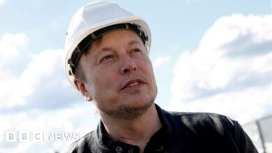 New Tesla factories lose billions of dollars, says Musk