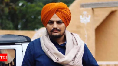 Sidhu Moose Wala murder case: Punjab government's request for probe by sitting HC judge turned down, say sources | Chandigarh News