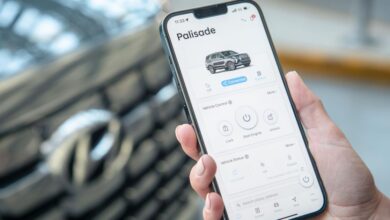 Hyundai Bluelink: Five years of free app connectivity to launch in 2023 Palisade