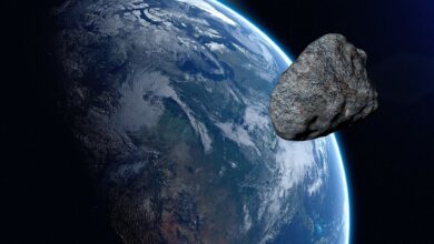 Asteroids Hiding in Plain Sight Can Now Be Spotted Using New Algorithm THOR