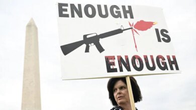 Despite Limited Scope, US Senate Gun Control Measures Gain Support