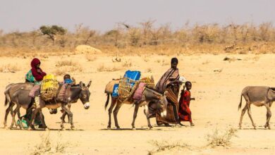 Ethiopia’s worst drought threatens ‘deadly consequences’ for women — Global Issues