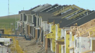 Calgary committee debates new communities, climate impacts of future population growth - Calgary