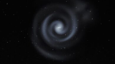 The spiral of light spotted above New Zealand. Pic: Alasdair Burns/Twinkle Dark Sky Tours