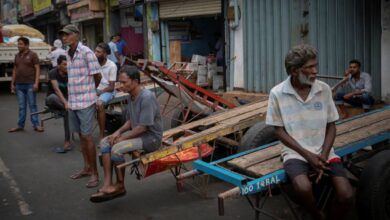 No food, no fuel and no jobs: economic disaster engulfs Sri Lanka