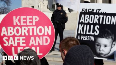 Roe v Wade: Women who have abortions will be protected - Biden