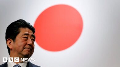 What does Shinzo Abe mean for Japan?