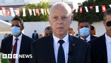 Tunisian referendum: Voters give president virtually unchecked power