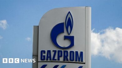 Gazprom halts Latvian gas in Russia's most recent cut to EU