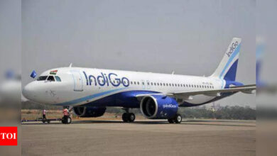 Cabin crew 'shortage' sent IndiGo punctuality plunging Saturday; DGCA seeks report from airline