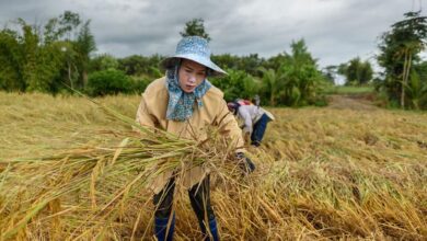 UN and partners meet to address ‘critical’ state of global food crisis |