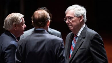 Mitch McConnell Was Outfoxed With His Own Playbook