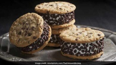 Watch: Make Classic Ice Cream Sandwich At Home With This Easy Recipe