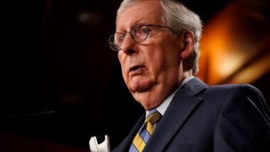 Republicans block cap on insulin costs for many Americans from Democratic deal