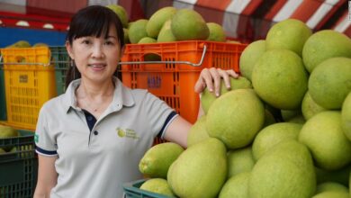 China flexes military muscles, then targets Taiwan's citrus fruits