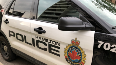 Man charged for alleged attempted child abduction in central Hamilton - Hamilton