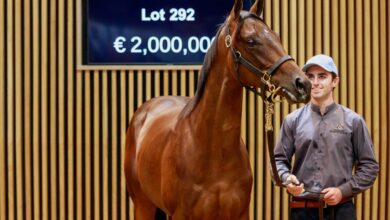 Record Figures Across The Board as Arqana August Concludes