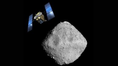 Asteroid Ryugu Sample Has Dust Grains Older Than Our Solar System