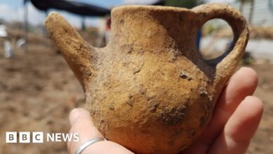 Earliest evidence of opium use found in burial ground in Israel
