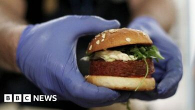 Beyond Meat: Vegan food executive accused of biting man's nose