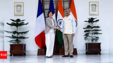 India, France discuss Indo-Pacific, Ukraine; Jaishankar says one less border problem with China | India News