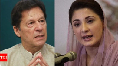 Imran Khan accuses Maryam Nawaz of hatching plot to kill him through 'religious fanatic'