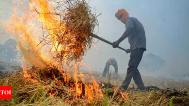 Stubble-burning season begins in north, count likely to pick up in October | India News