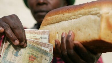 Zimbabwean bakers’ profits crumble amid Russia-Ukraine crisis | Business and Economy