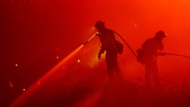 Photos: Fire crews battle massive blazes across US West | Climate News