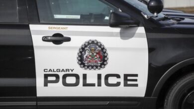 Child seriously hurt after being hit by vehicle in northeast Calgary: police - Calgary