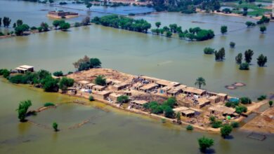 Pakistan floods: deaths pass 1,280 -- and a third of them are children