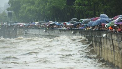 Typhoon Muifa: Ports in Zhejiang at standstill as typhoon closes in