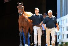 The TDN In Spanish: A Keeneland Sales Report