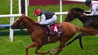 Kyprios Clinches Irish St Leger succeeds to win memorable season