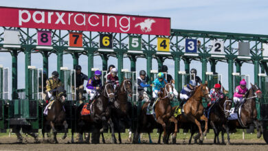 Parx investigation detects contraband, expected suspension