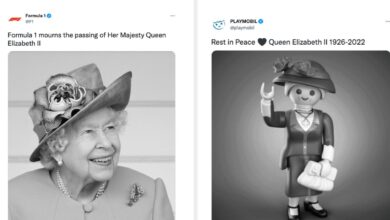 21 surprising and surprising Twitter accounts dedicated to the queen