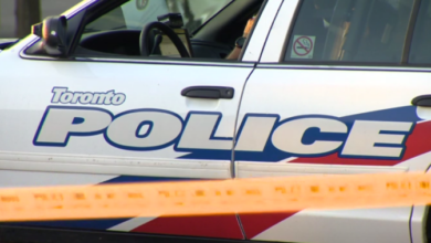 Cyclist in critical condition, struck by vehicle in Toronto: police - Toronto
