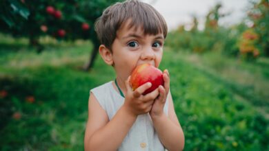 A Harvard nutritionist shares 6 brain foods that will help your kids stay 'sharp and focused'