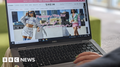 Shein owner Zoetop fined $1.9m over data breach response