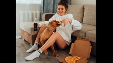 Serving homemade food to pets?  Here are 7 safe, nutritious human foods for dogs