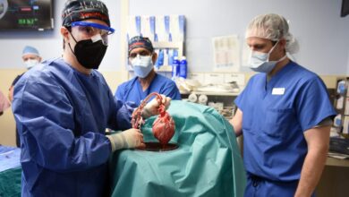 Groundbreaking Pig Heart Transplant for Human Worked Better Than Doctors Hoped