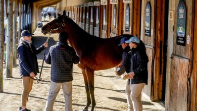 Yearling Market Returns to Maryland for Mid-Atlantic Fall Sale Fasig-Tipton