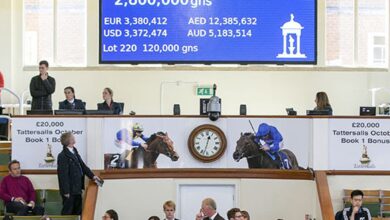 The record sale in October is coming to an end at Tattersalls