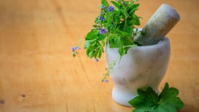 Herbal tips and tricks to help your skin and hair need |  Fashion trends