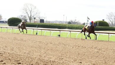 Uncle Mo's Arabian Knight Cruises to 'Stardom' at Keeneland
