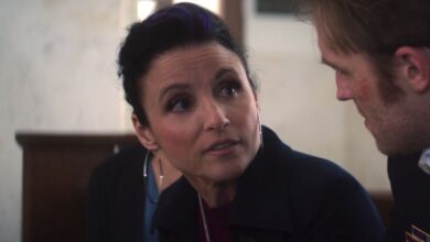 Julia Louis-Dreyfus' Valentine in Wakanda Forever Is Key to Marvel's Next Phase