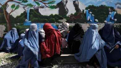 Afghanistan: UN suspends some aid programs after Taliban ban