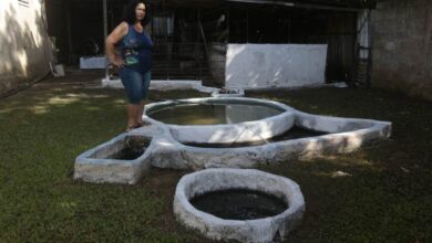 Biogas Spreads Among Cuban Families as an Alternative Energy